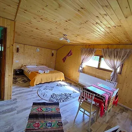 Doi Mesteceni Отель Брашов