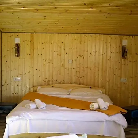 Doi Mesteceni Брашов