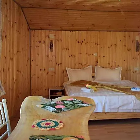 Doi Mesteceni Брашов