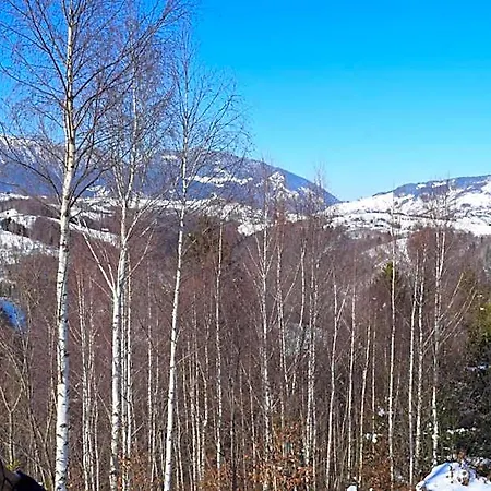 Doi Mesteceni Брашов