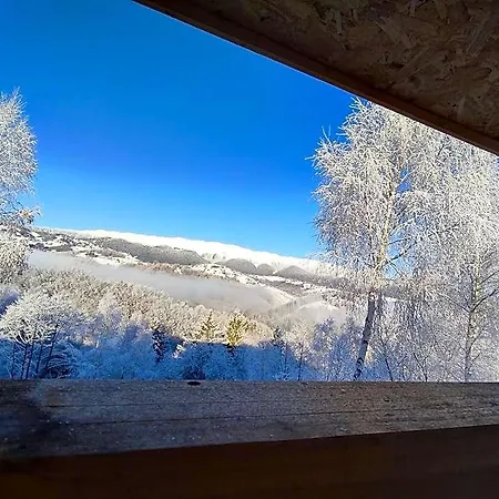 Doi Mesteceni Отель *