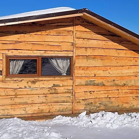 Doi Mesteceni Отель