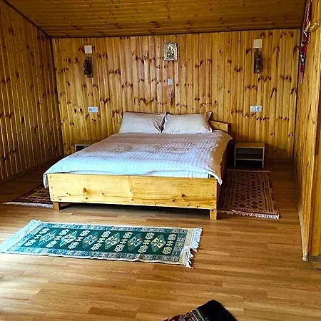 Отель Doi Mesteceni Брашов