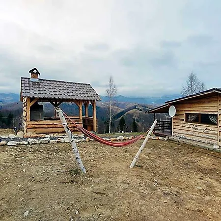 Doi Mesteceni Отель