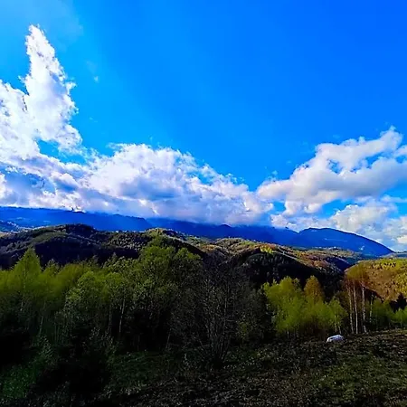 Doi Mesteceni * Брашов