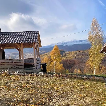 Отель Doi Mesteceni Брашов