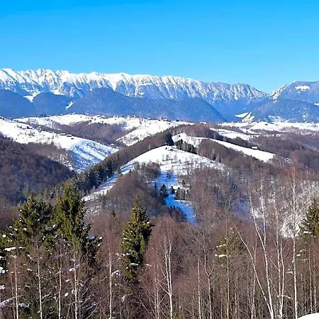 Отель Doi Mesteceni