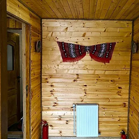 Отель Doi Mesteceni
