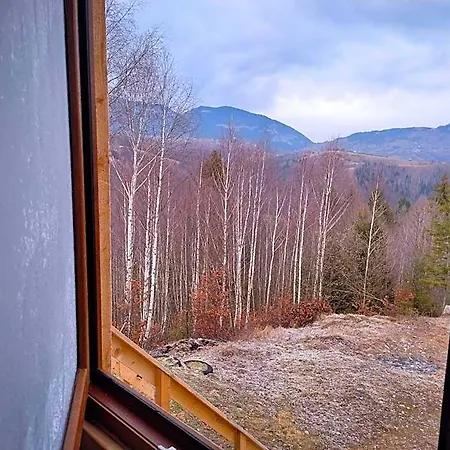 Отель Doi Mesteceni